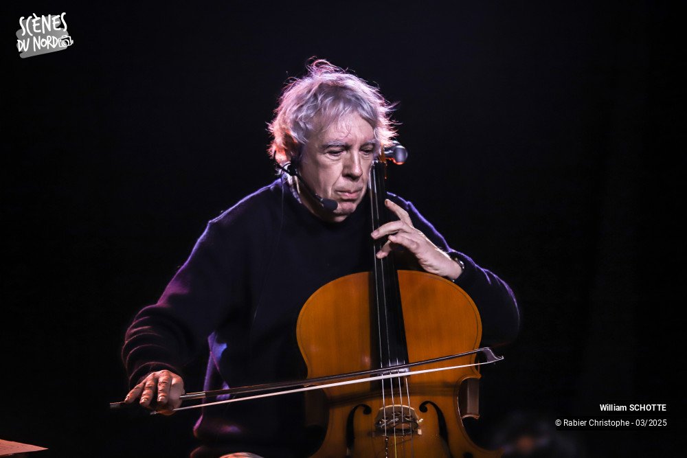 16/20 photos du spectacle William Schotte