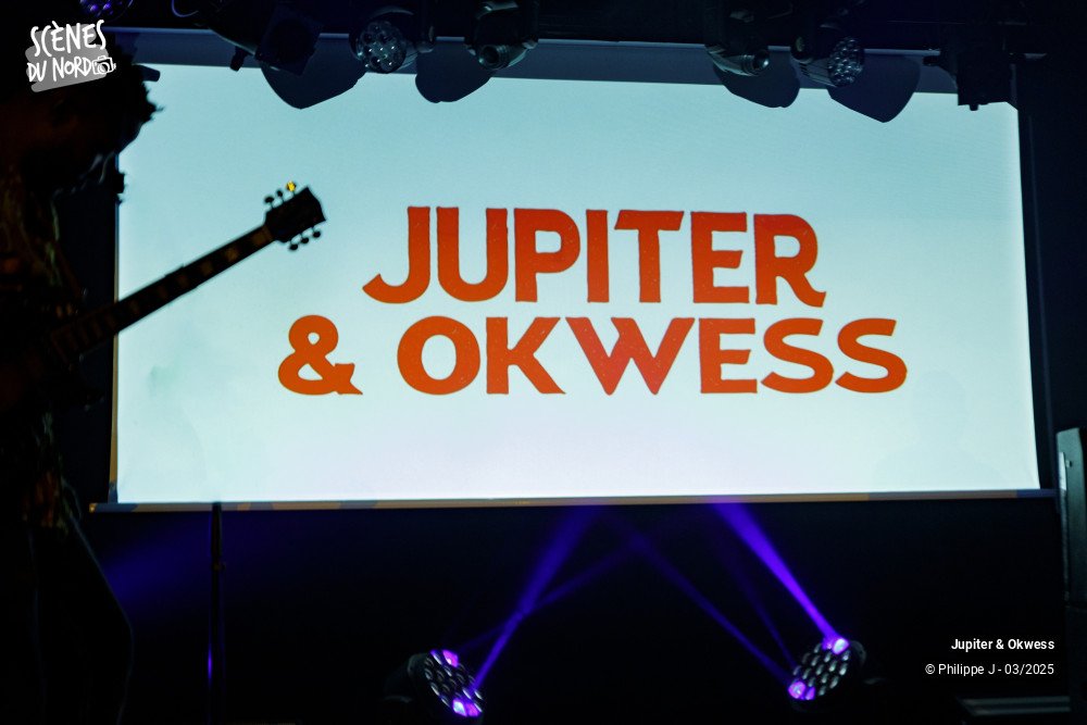 1/20 photos du spectacle Jupiter & Okwess