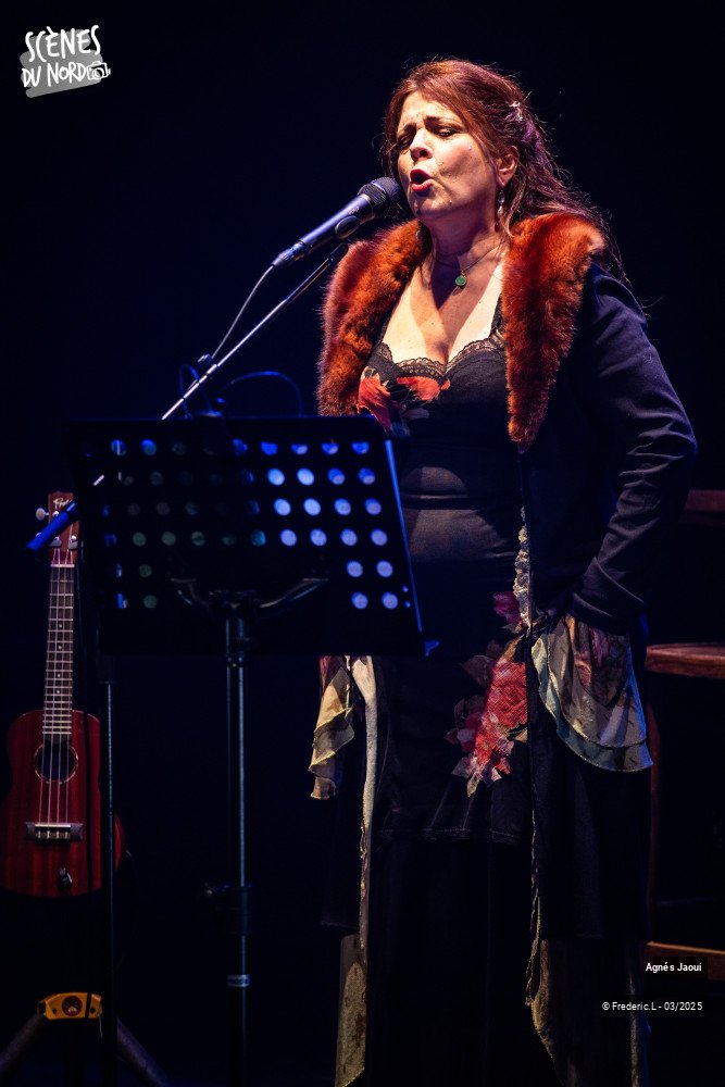 1/20 photos du spectacle Agnés Jaoui