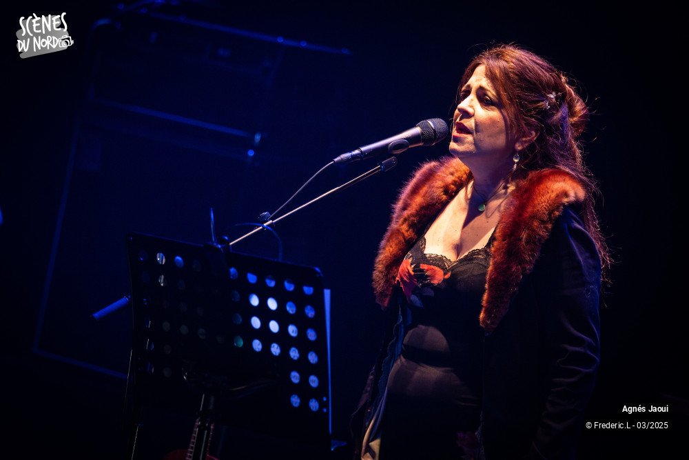 2/20 photos du spectacle Agnés Jaoui