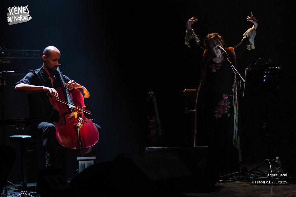 10/20 photos du spectacle Agnés Jaoui