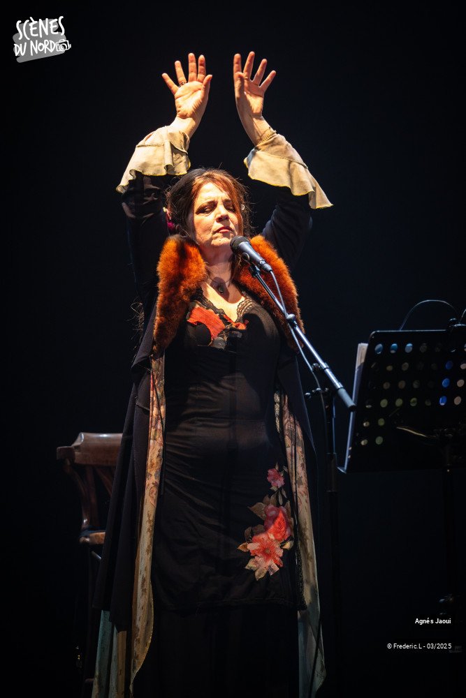 11/20 photos du spectacle Agnés Jaoui