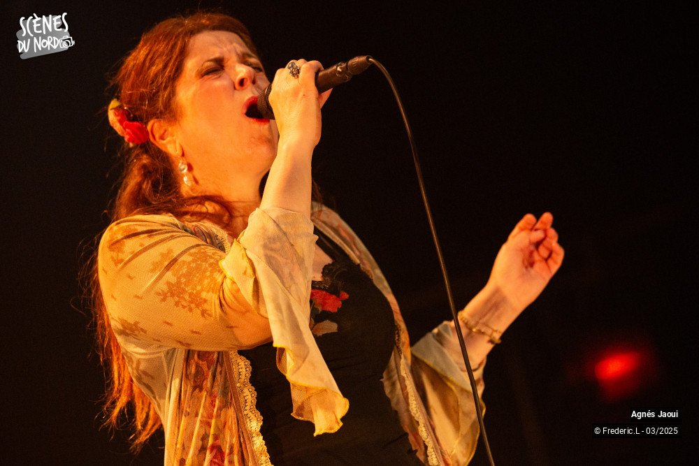 14/20 photos du spectacle Agnés Jaoui