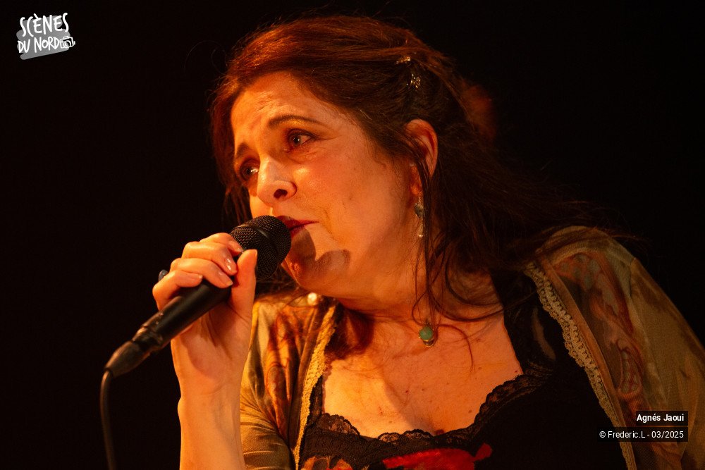 15/20 photos du spectacle Agnés Jaoui