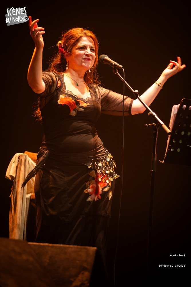 16/20 photos du spectacle Agnés Jaoui
