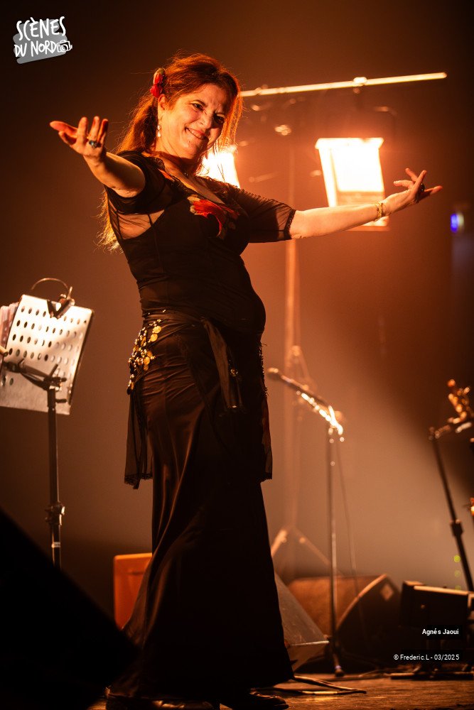 17/20 photos du spectacle Agnés Jaoui