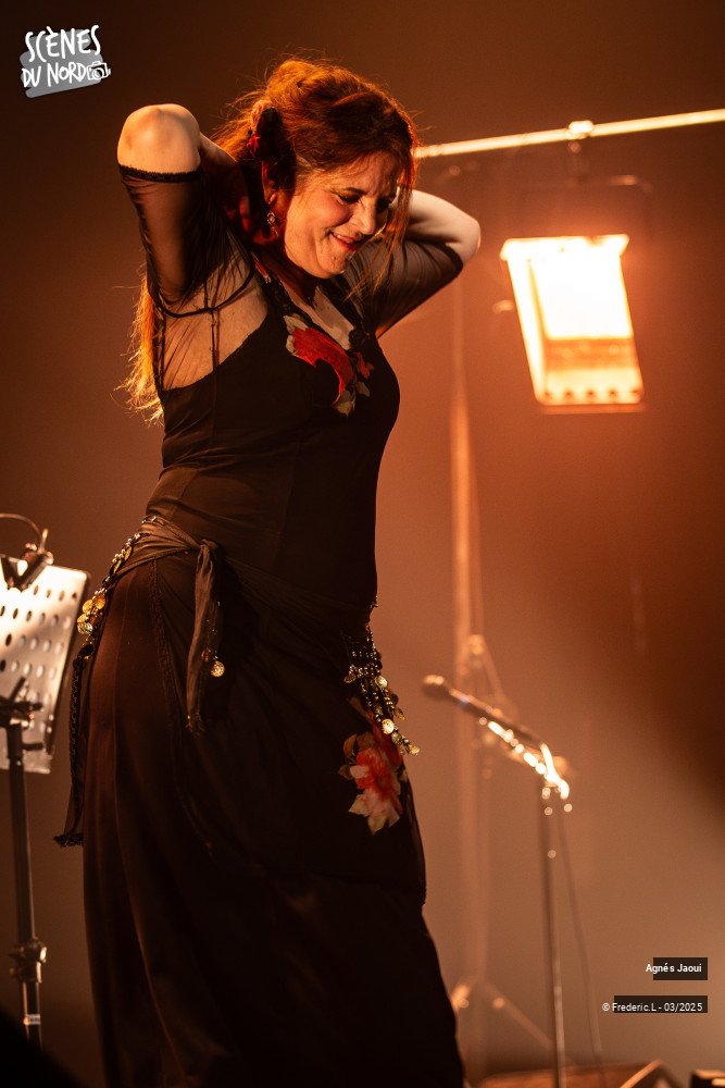 18/20 photos du spectacle Agnés Jaoui