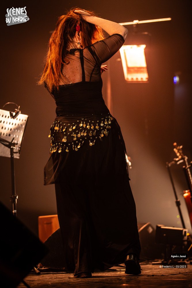 19/20 photos du spectacle Agnés Jaoui