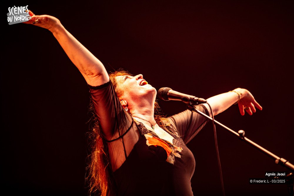 20/20 photos du spectacle Agnés Jaoui