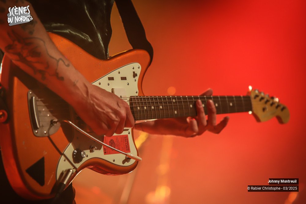 13/20 photos du spectacle Johnny Montreuil