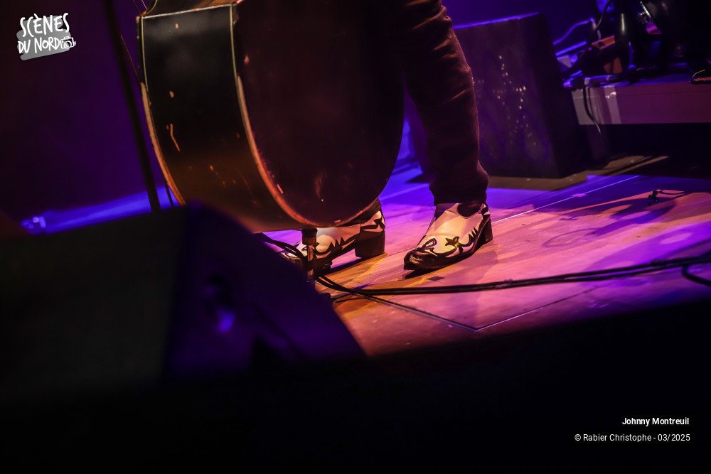 14/20 photos du spectacle Johnny Montreuil