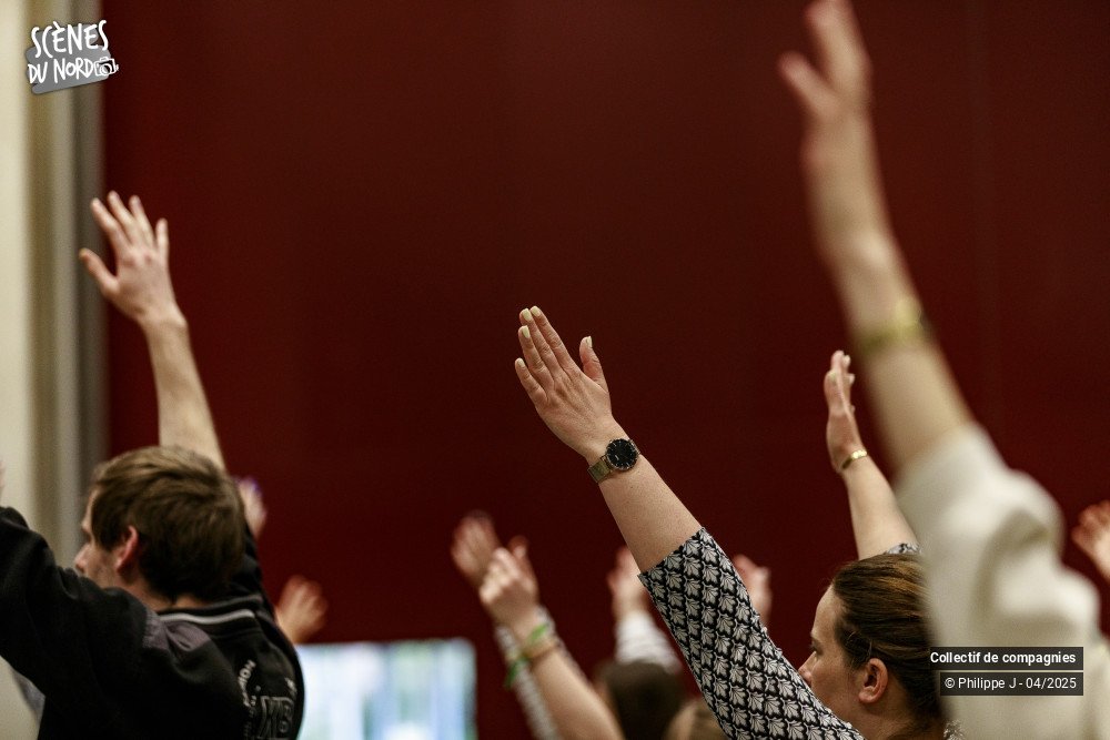 11/15 photos du spectacle En attendant Fiesta #1