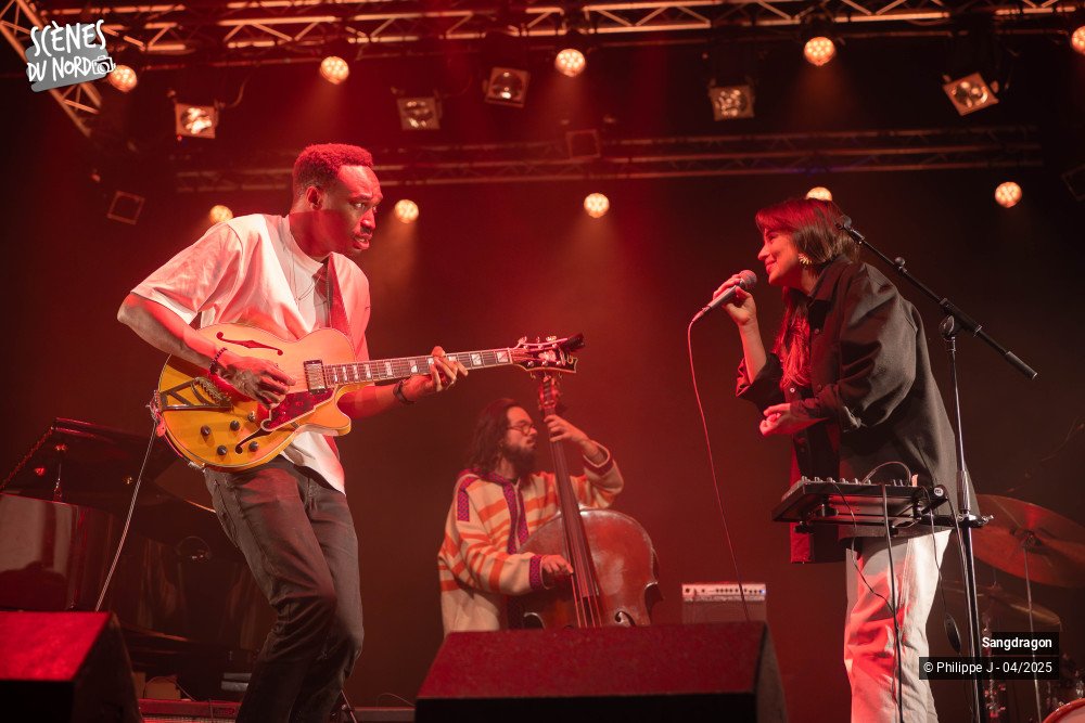 19/19 photos du spectacle Sangdragon