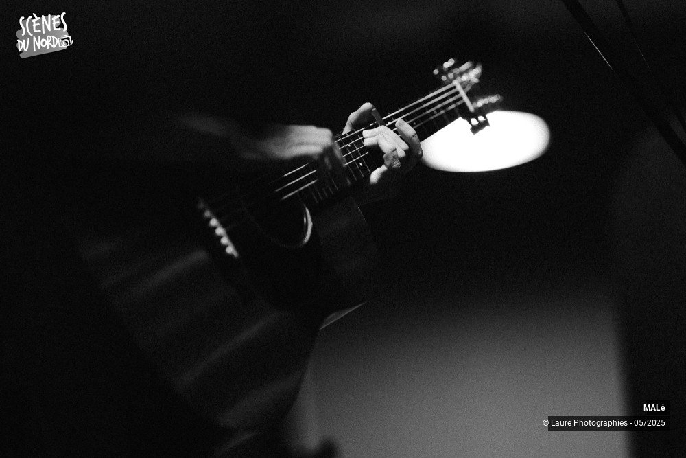 10/15 photos du spectacle MALé au festival de l'Arbre