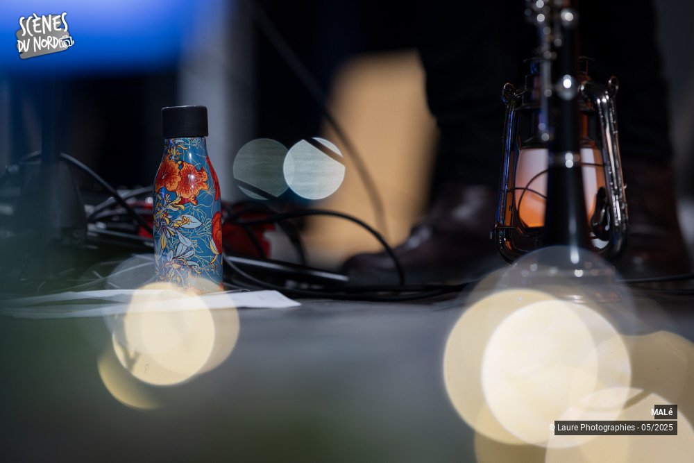 15/15 photos du spectacle MALé au festival de l'Arbre