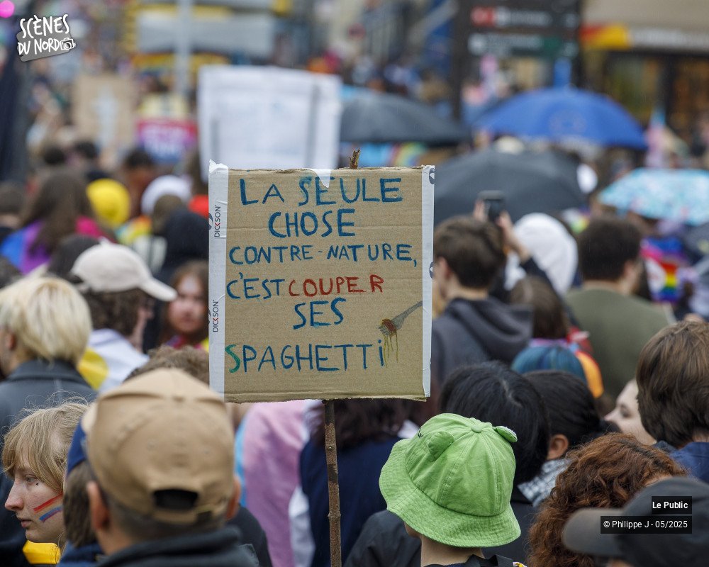 7/18 photos du spectacle Pride #2