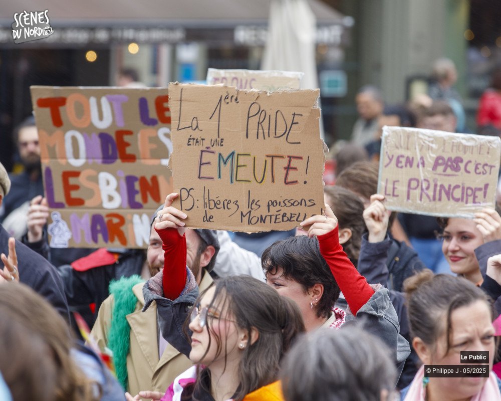 11/18 photos du spectacle Pride #2