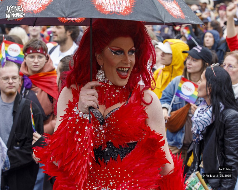 27/40 photos du spectacle Pride #4