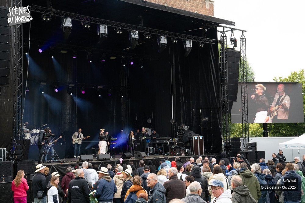 9/11 photos du spectacle Pink by So What