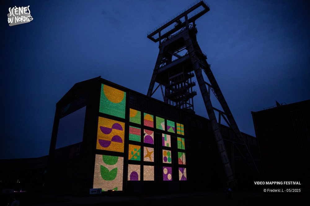 4/20 photos du spectacle VIDEO MAPPING FESTIVAL #8