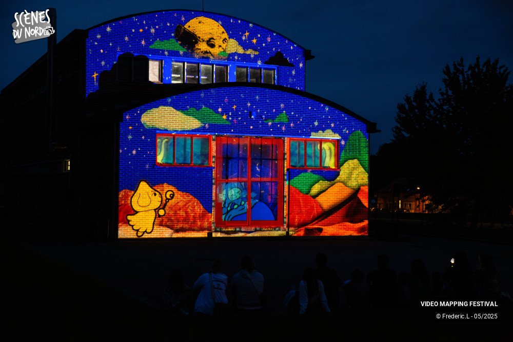 6/20 photos du spectacle VIDEO MAPPING FESTIVAL #8