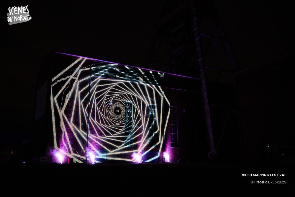 11/20 photos du spectacle VIDEO MAPPING FESTIVAL #8