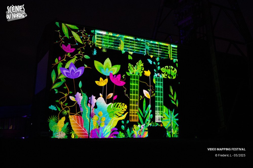 12/20 photos du spectacle VIDEO MAPPING FESTIVAL #8
