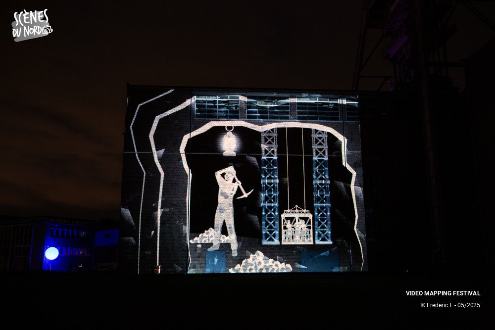 13/20 photos du spectacle VIDEO MAPPING FESTIVAL #8