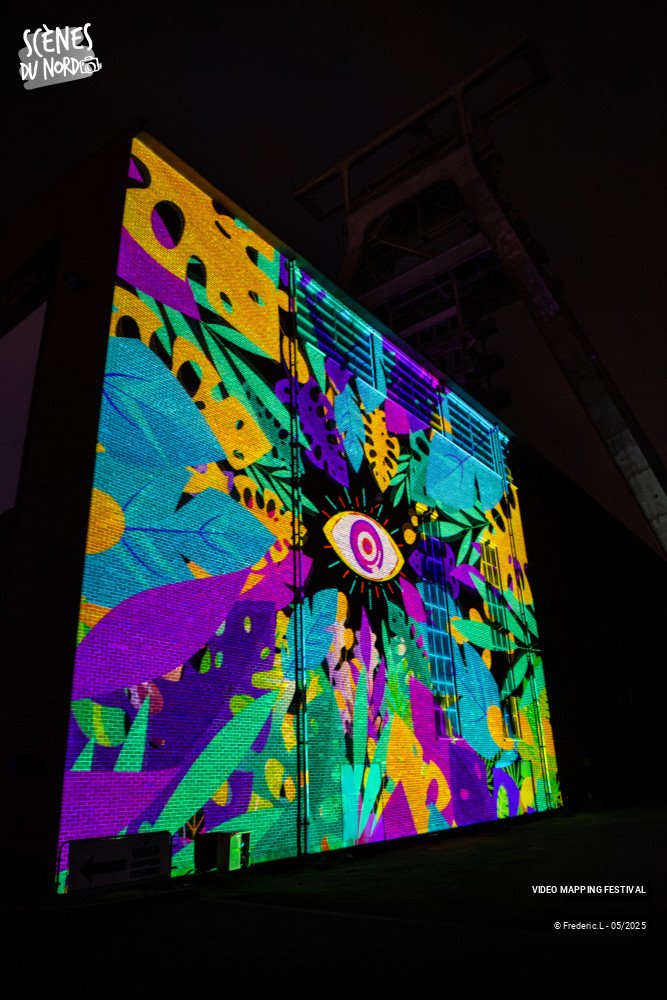 14/20 photos du spectacle VIDEO MAPPING FESTIVAL #8