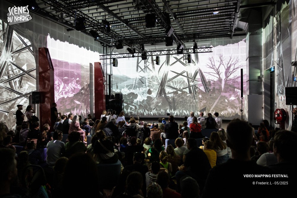 16/20 photos du spectacle VIDEO MAPPING FESTIVAL #8