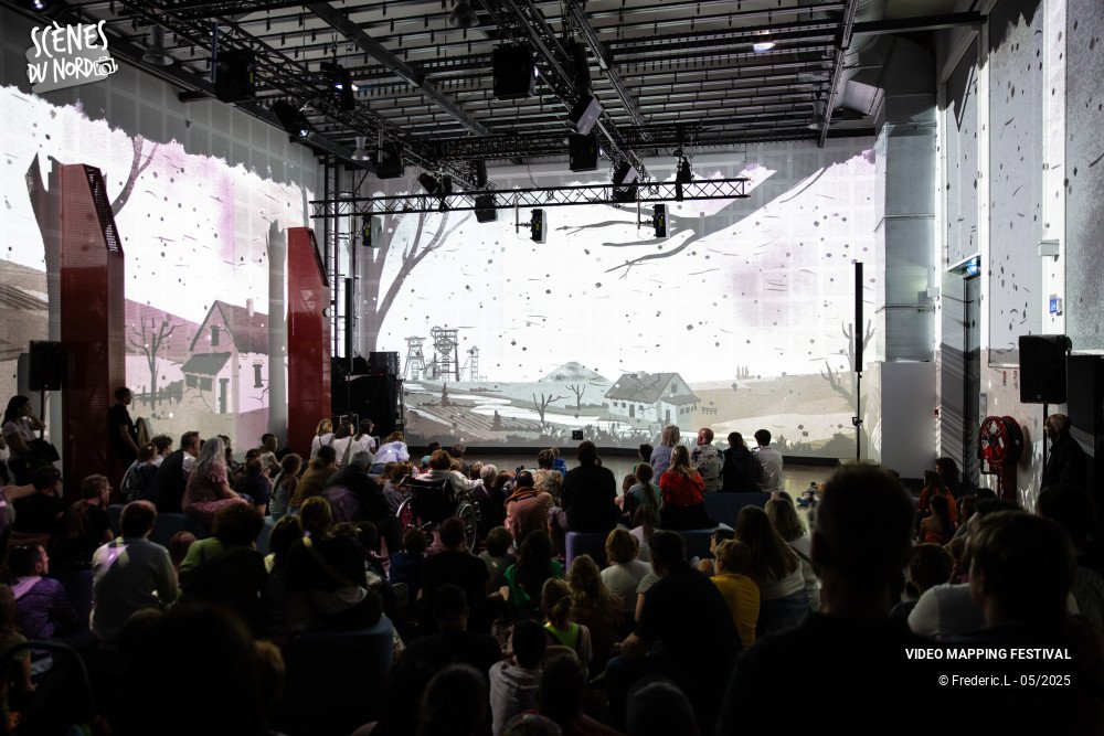 17/20 photos du spectacle VIDEO MAPPING FESTIVAL #8