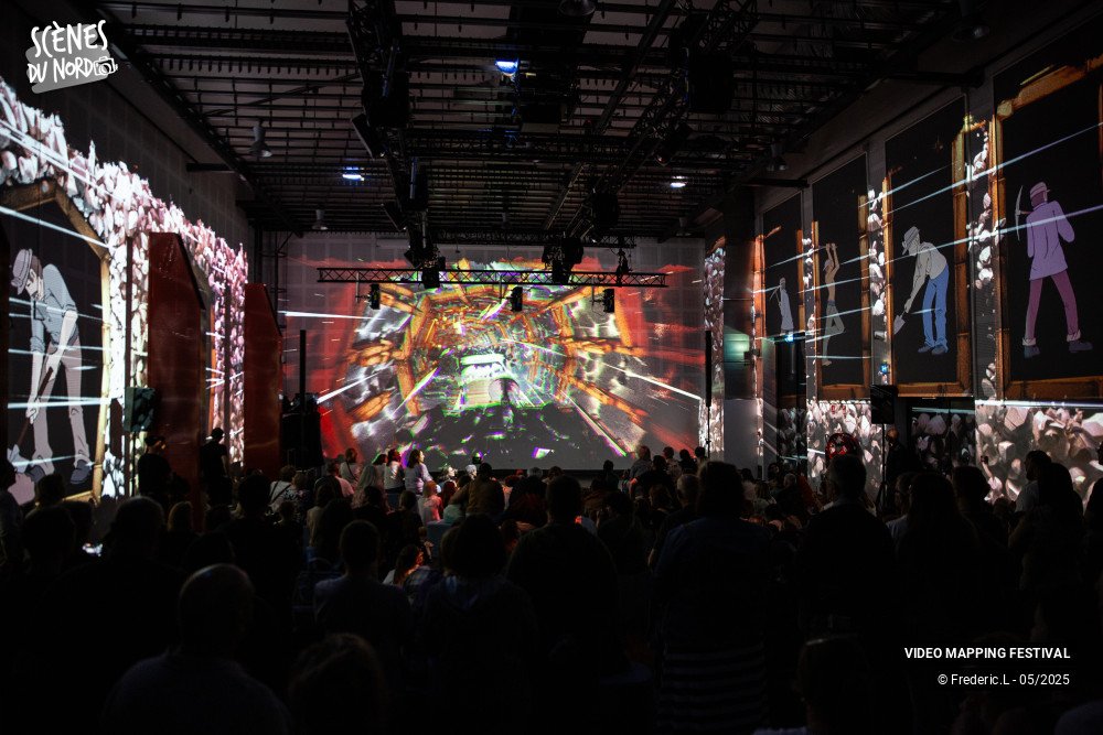 18/20 photos du spectacle VIDEO MAPPING FESTIVAL #8