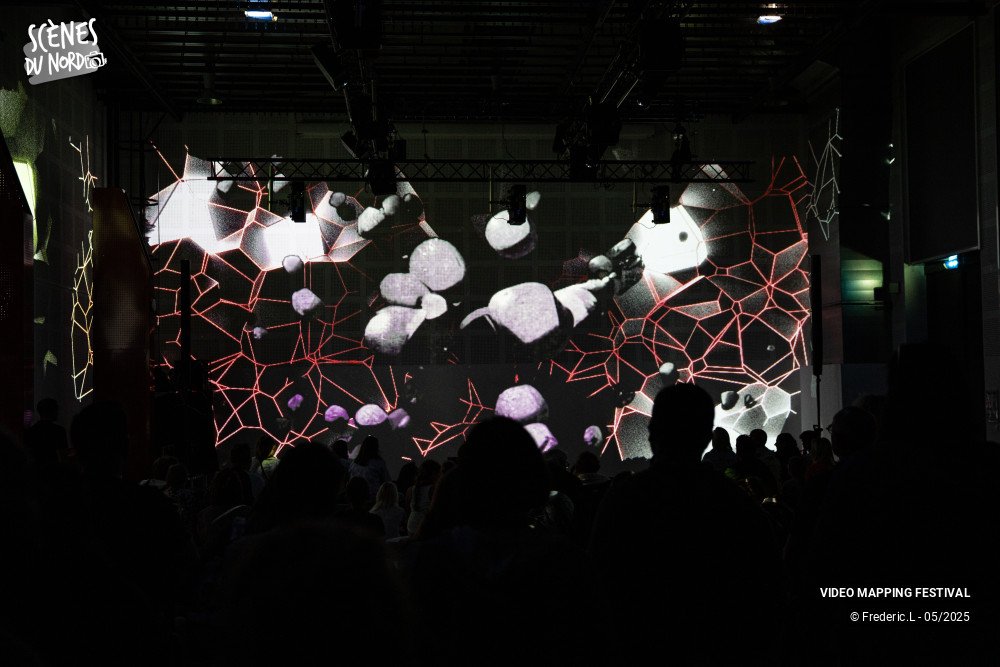19/20 photos du spectacle VIDEO MAPPING FESTIVAL #8