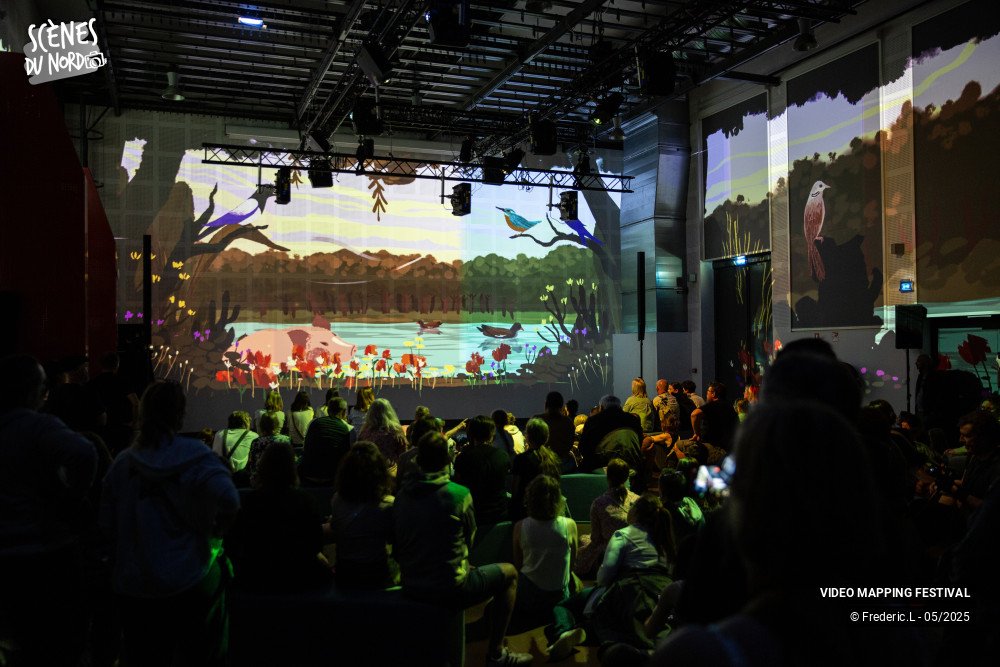 20/20 photos du spectacle VIDEO MAPPING FESTIVAL #8