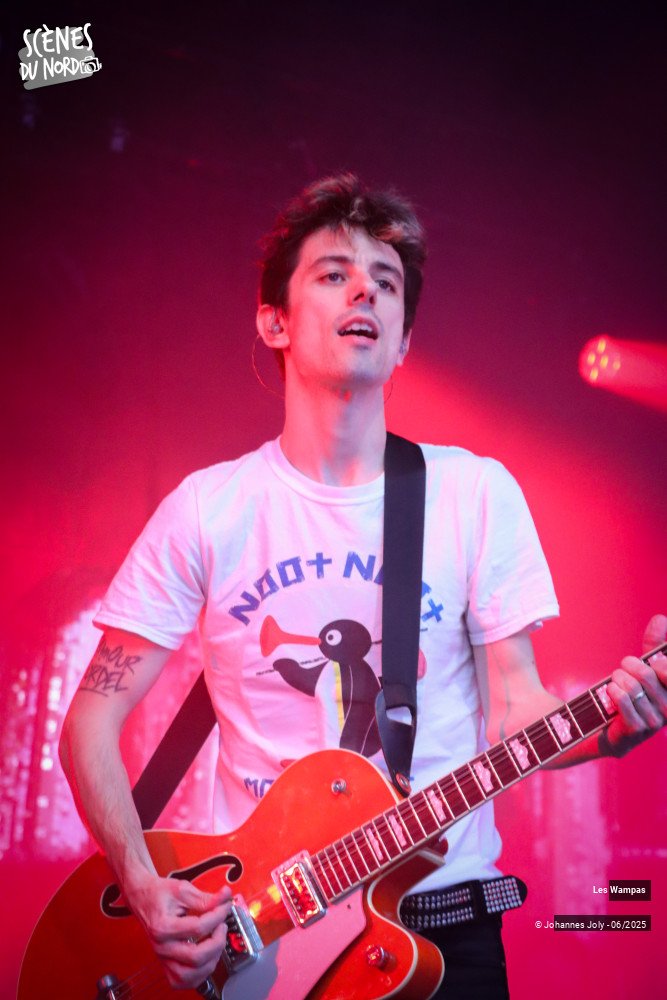 7/20 photos du spectacle Les Wampas