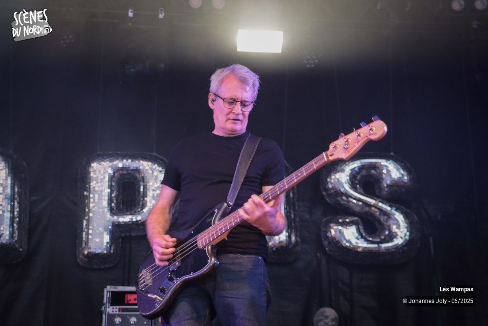 14/20 photos du spectacle Les Wampas