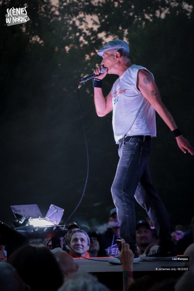 18/20 photos du spectacle Les Wampas