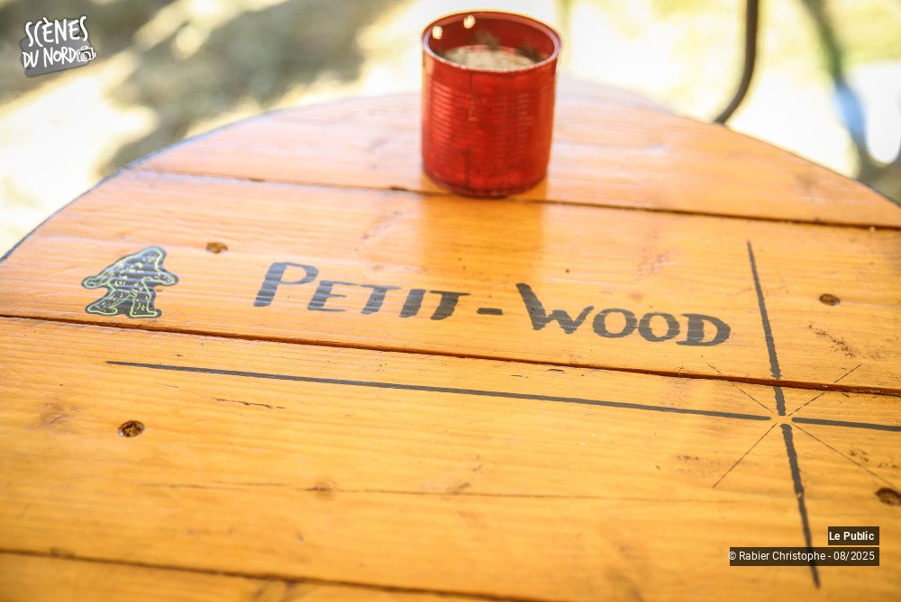 12/20 photos du spectacle Ambiance 1 au festival Le P'tit Wood 2025