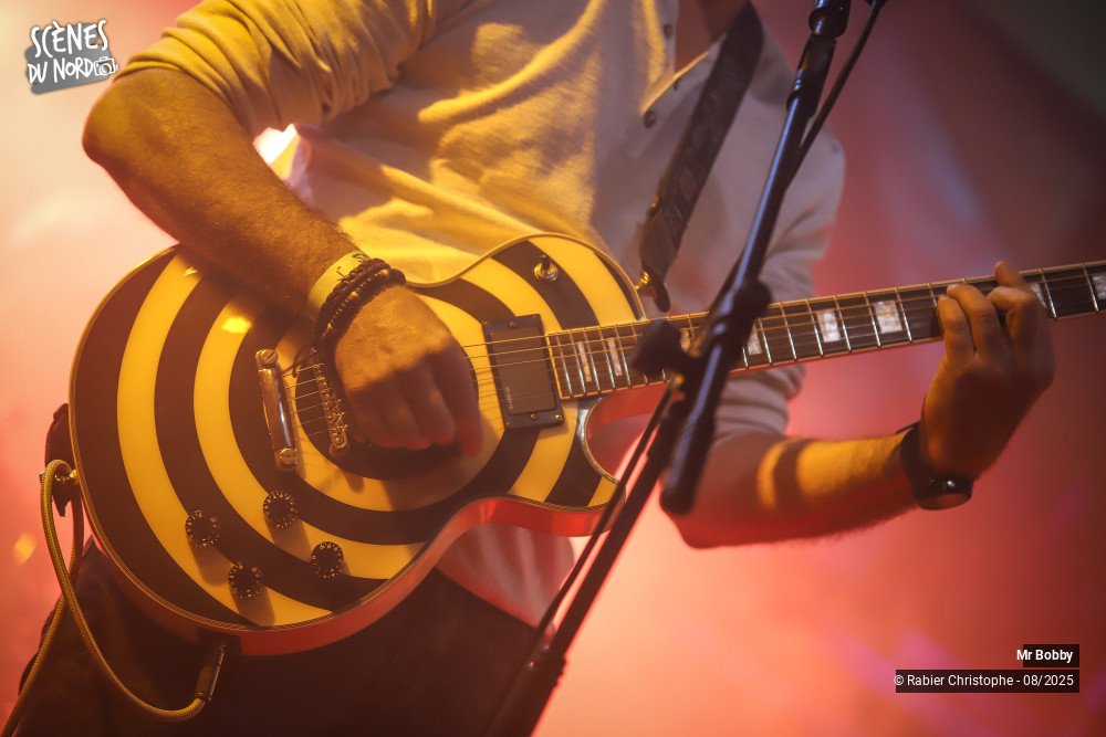 8/20 photos du spectacle Mr bobby