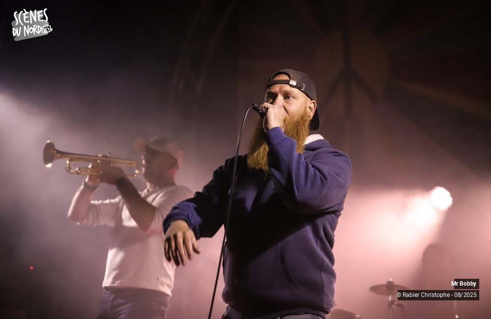 13/20 photos du spectacle Mr bobby