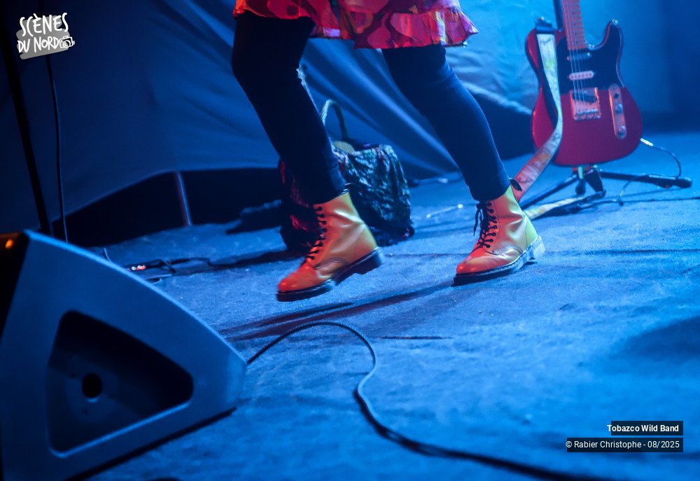 1/20 photos du spectacle tobazco wild band