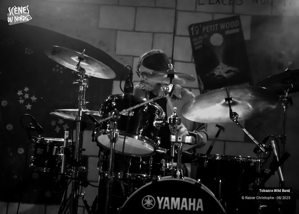 14/20 photos du spectacle tobazco wild band