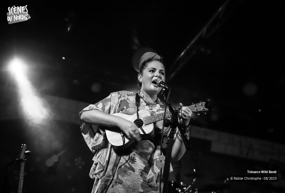 15/20 photos du spectacle tobazco wild band