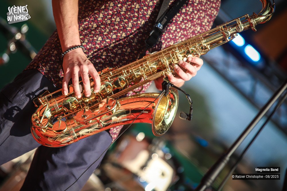 14/20 photos du spectacle magnolia