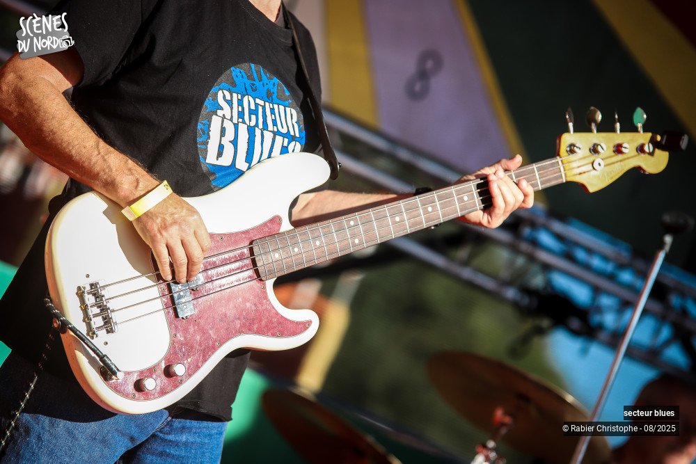 8/20 photos du spectacle Secteur blues