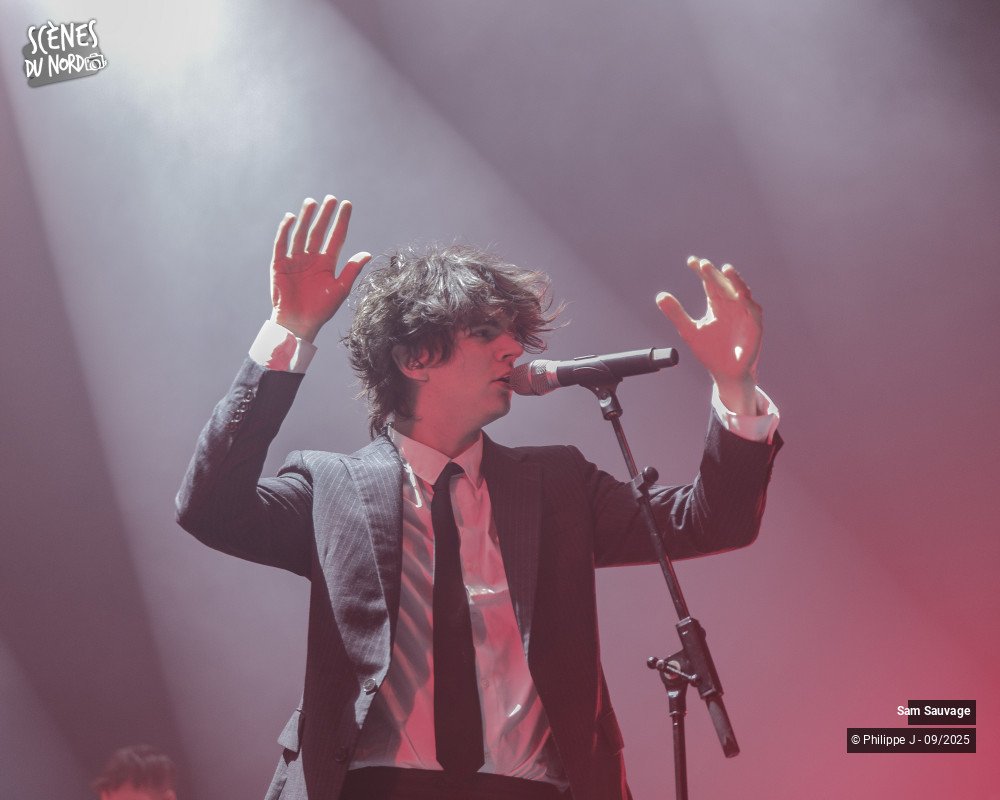 2/12 photos du spectacle Sam Sauvage