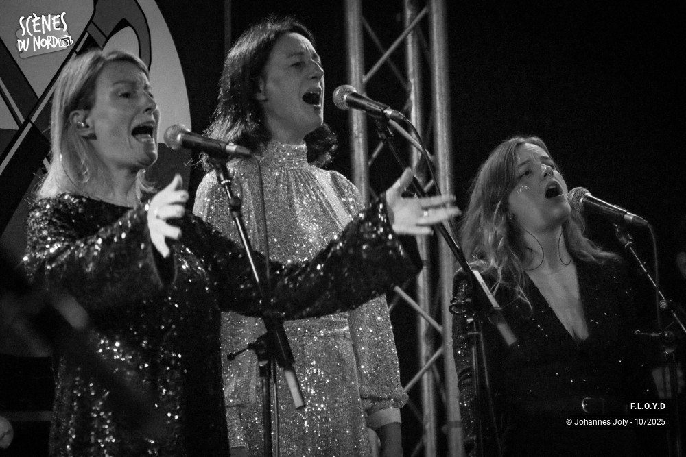 17/20 photos du spectacle F.L.O.Y.D