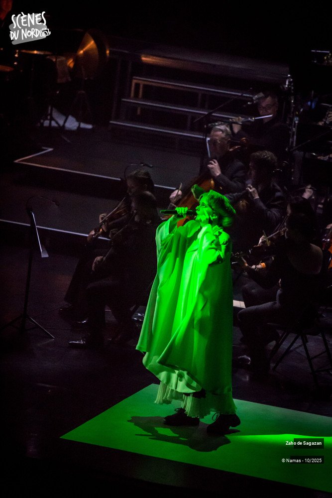 5/16 photos du spectacle Zaho du Sagazan
