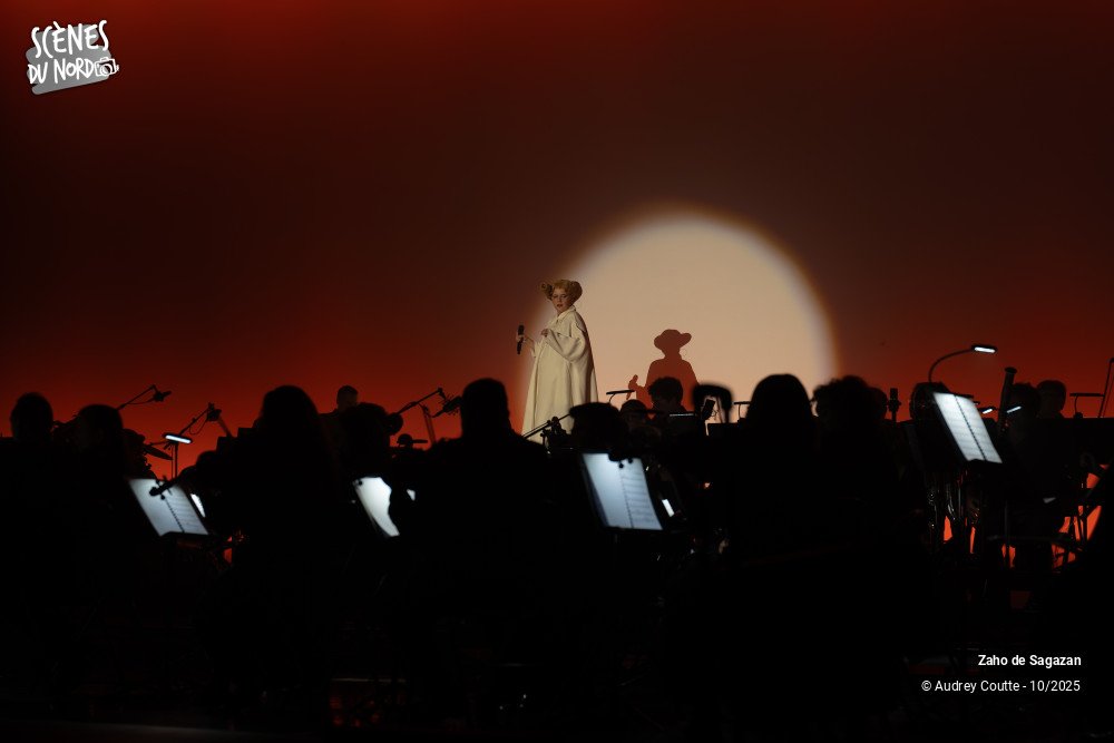 1/17 photos du spectacle Zaho de Sagazan