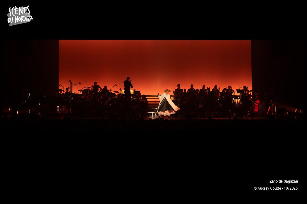 2/17 photos du spectacle Zaho de Sagazan